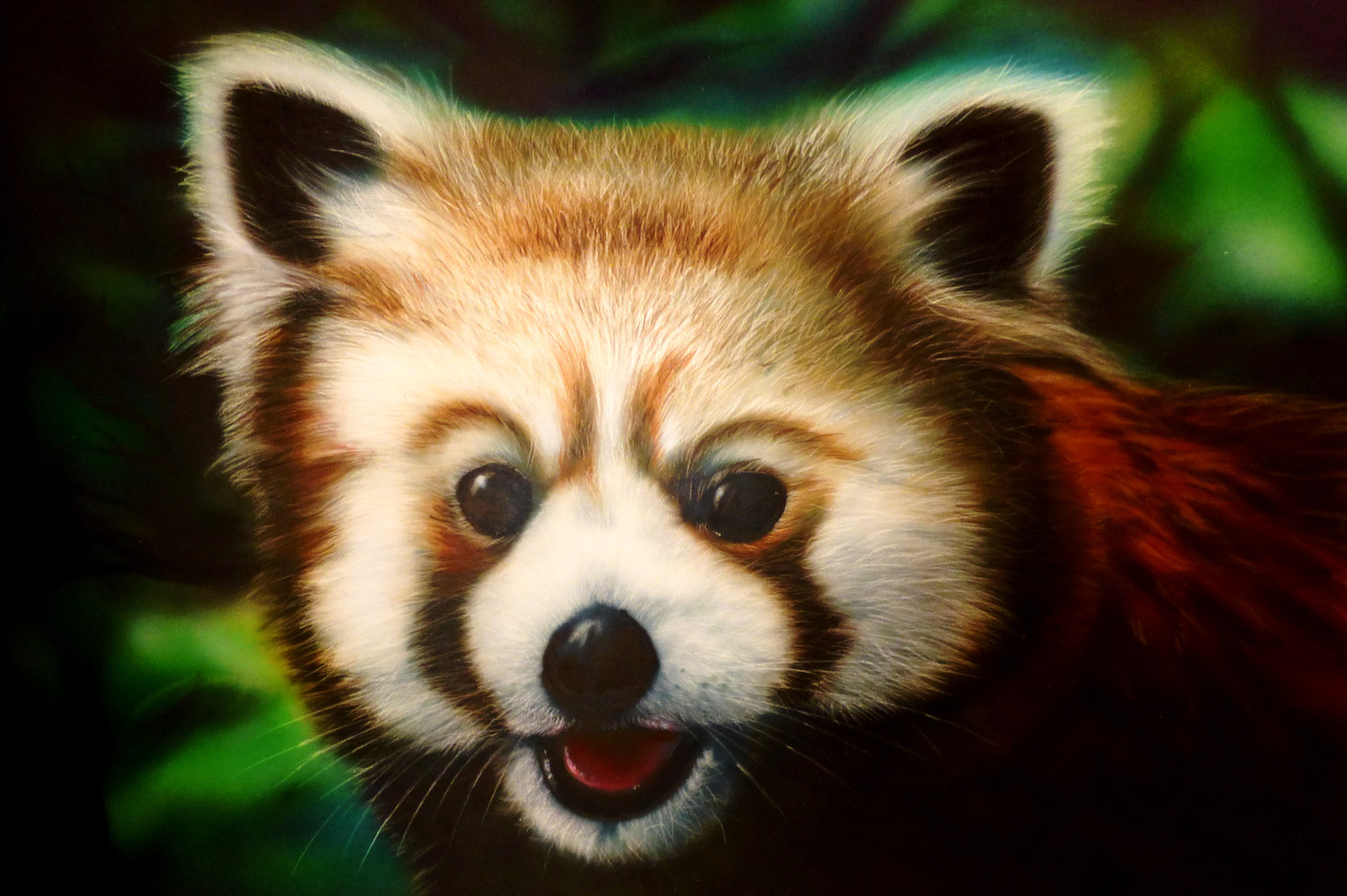 Katzenbär Airbrush Matthias Kiffner